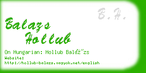 balazs hollub business card